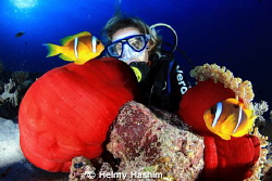 Red Sea , Egypt by Helmy Hashim 